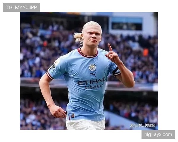 哈兰德数据爆炸